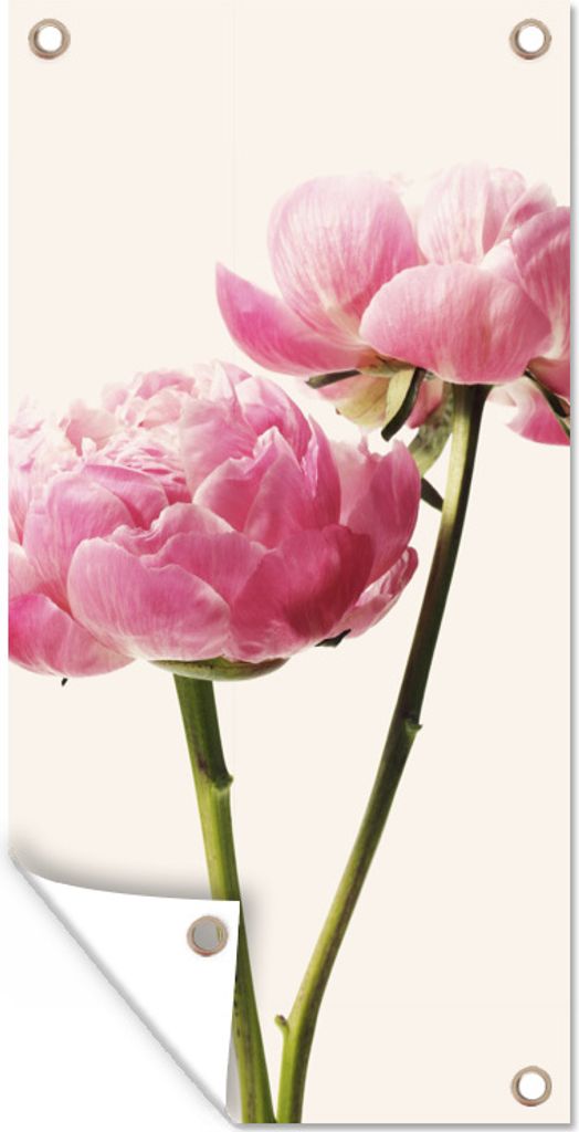MuchoWow 80x160 cm Outdoor-Poster Gartendeko Sichtschutz Garten Poster für den Garten Blumen - Blüte - Rosa