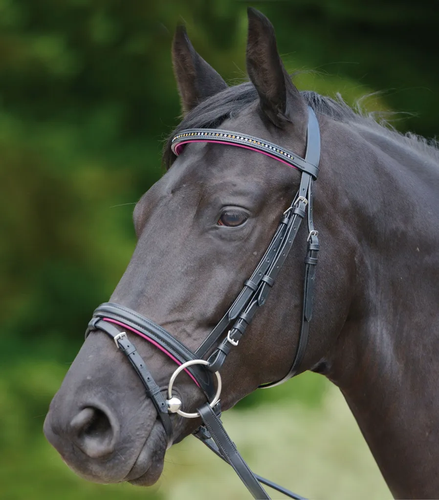 Bridon Diamond noir et renard Mini Sh pour poney de taille Shetland