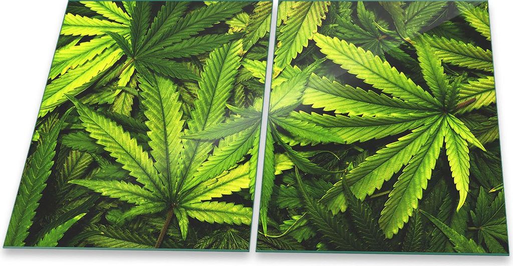 Herdabdeckplatte Glaskeramik 2-Teilig 2x40x52 Pflanzen Grün Abdeckung Spritzschutz