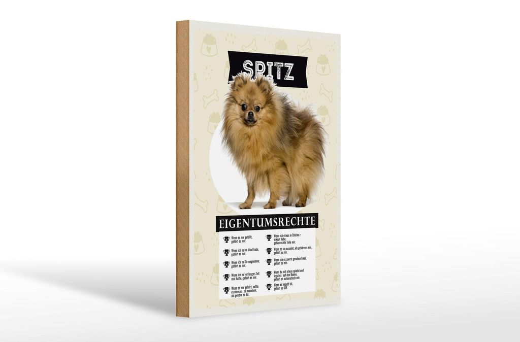Holzschild Spruch 20x30cm Spitz Eigentumsrechte Geschenk