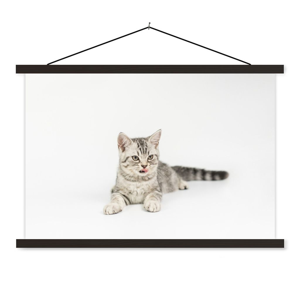 MuchoWow Textilposter Kitten - Weiß - Sohle - Mädchen - Kinder - Jungen - Kind 90x60 cm mit schwarzem Rahmen - Aufhängungssatz