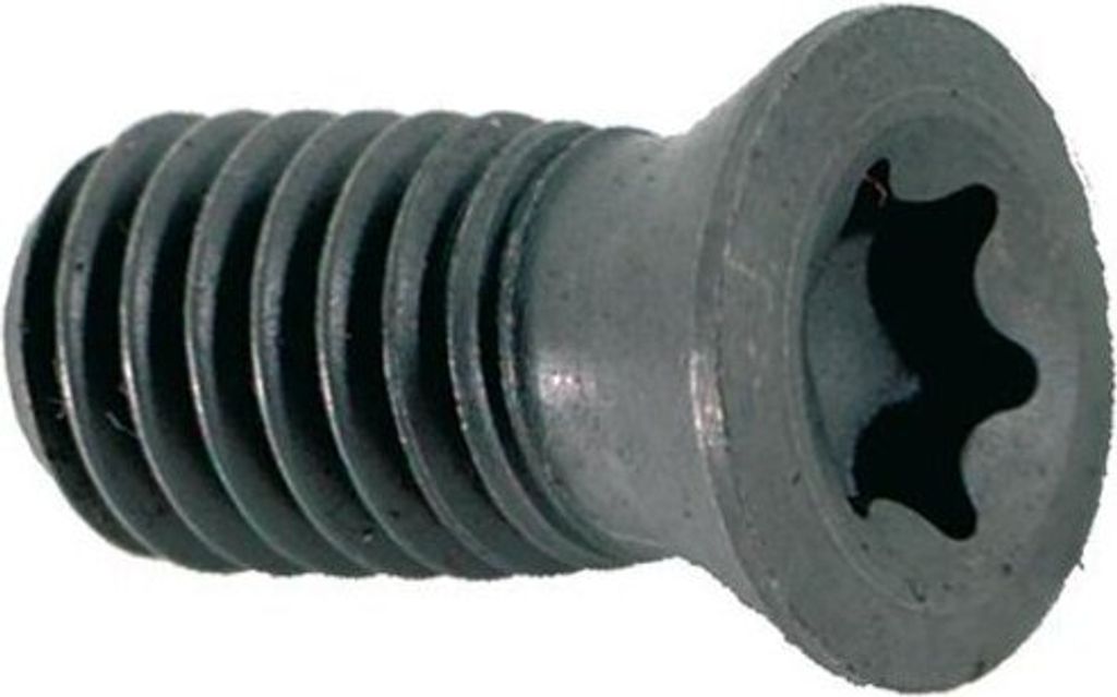 Torxschraube f. D16-32mm SR85011-TP15