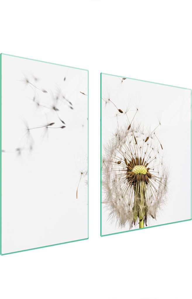 Glasschutzplatte Für Herd 90X52 Blume