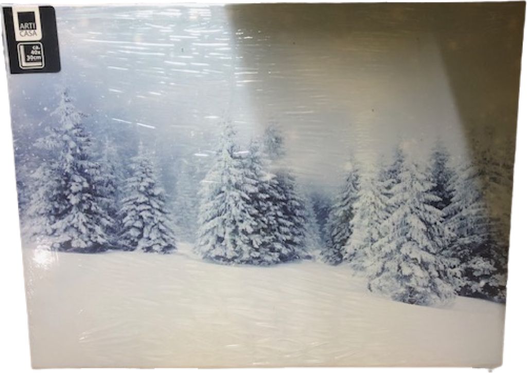 LED Bild Winterlandschaft Weihnachten Leinwand Wandbild 40 x 30 cm sortiert verschiedene Motive