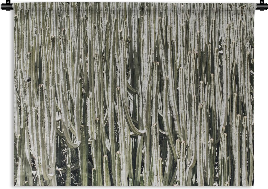 MuchoWow Wandteppich Wandbehang Kaktus - Natur - Sukkulenten 90x67.5 cm Tapisserie Dekoration Wandtuch - Fototeppich - Wand-Skulpturen
