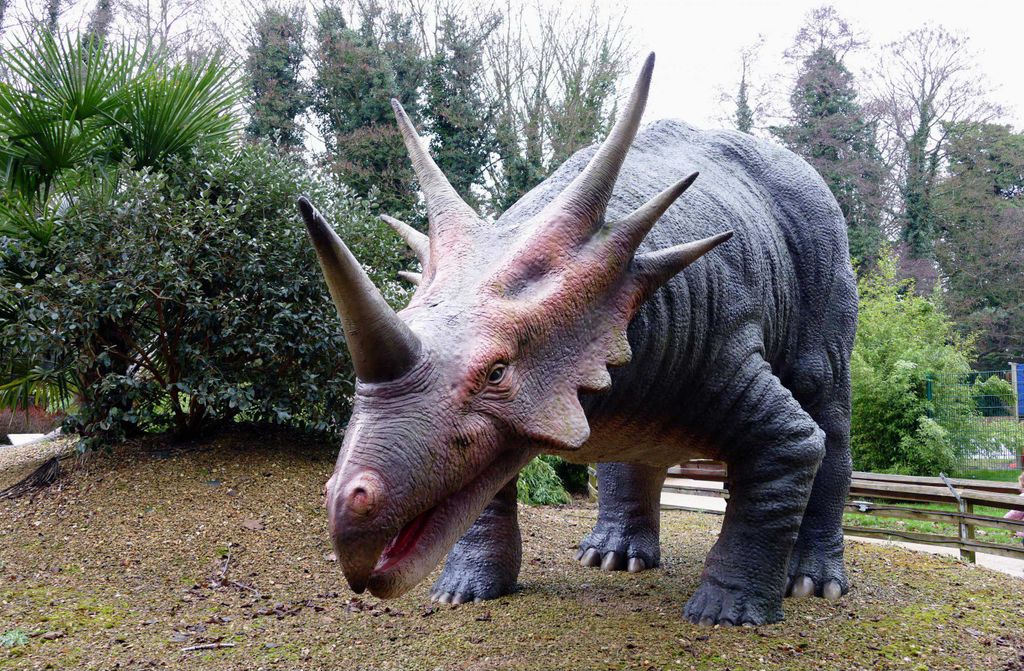 hansepuzzle 11380 - Styracosaurus Puzzle, 500 Teile, Orte, 46,0 x 30,0cm mit hochwertiger Aufbewahrung, Kartonbox und wiederverschließbarem Beutel