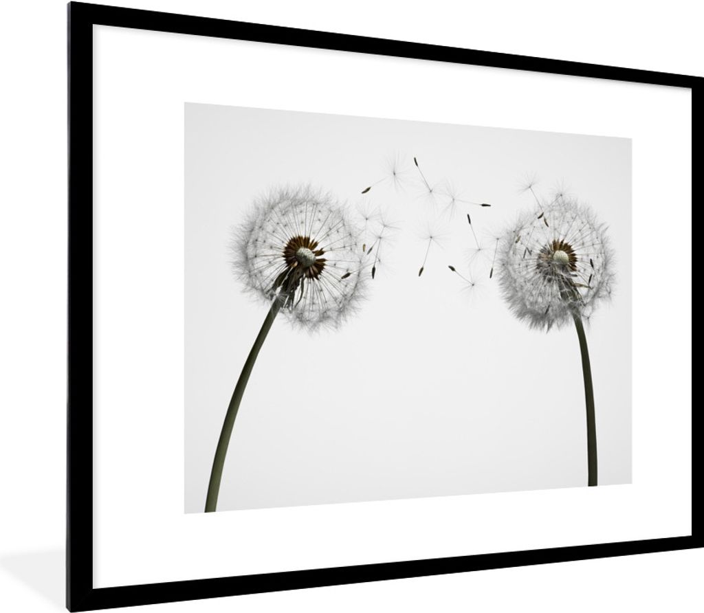 MuchoWow Gerahmtes Poster Illustration - Saatgut - Löwenzahn 80x60 cm - Poster mit Schwarzem Bilderrahmen Wandposter Rahmen Foto Bilder - Schlaf...