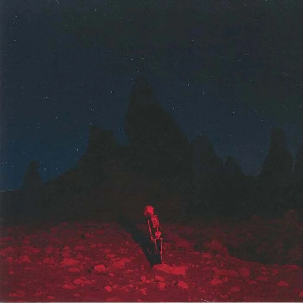Album LP Punisher de Phoebe Bridgers - Vinyle Audio Haute Fidélité