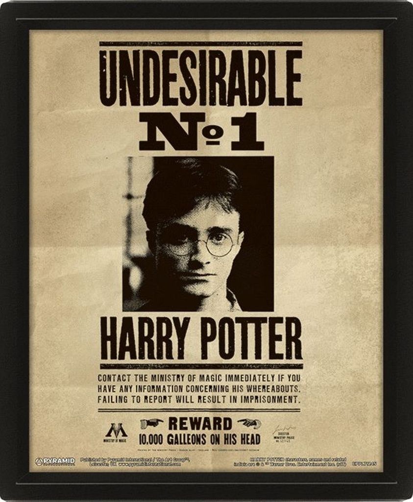 Harry Potter - Wanted - 3D-Bild Produktbild 