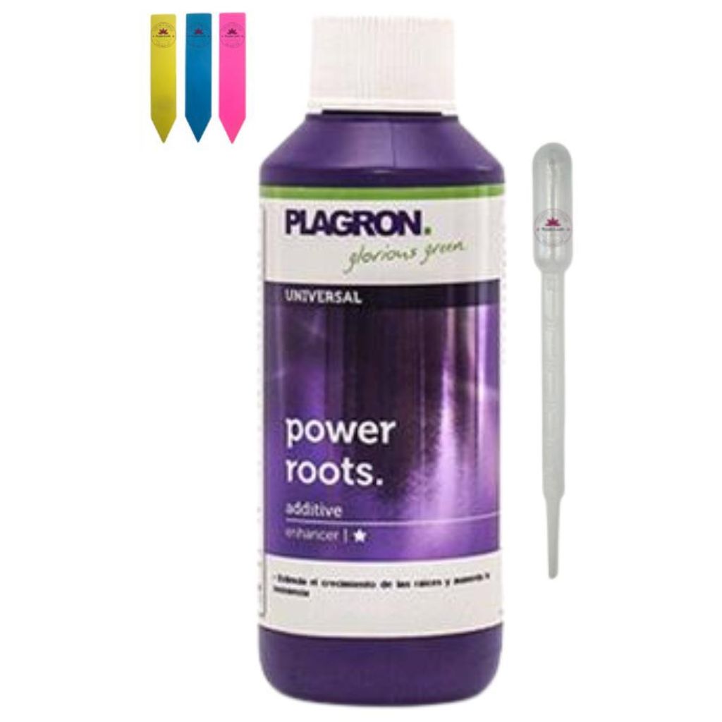 Plagron Power Roots 100 ml