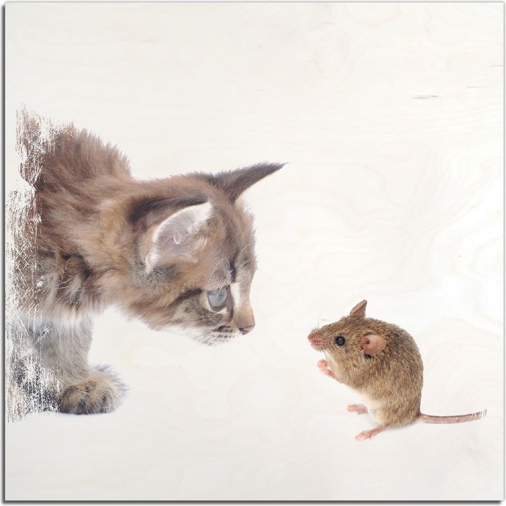 Kunstdrucke Wandbilder Holz in : Brillante Farben, Größe 50 x 50 cm Motiv Katze und Maus beim Spielen - weißer Hintergrund