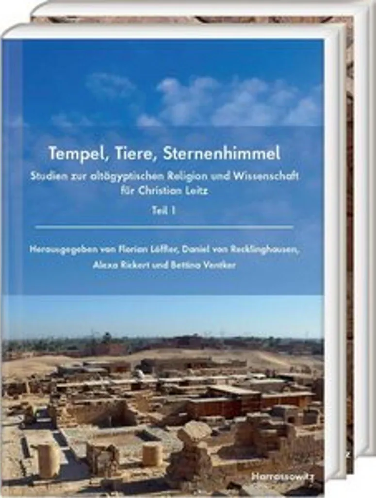 Anti peur du noir projecteur ciel étoilé animaux du temple