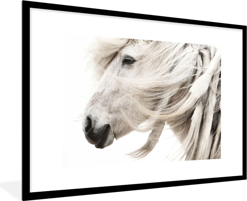 MuchoWow Gerahmtes Poster Pferd - Grau - Weiß 90x60 cm - Poster mit Schwarzem Bilderrahmen Wandposter Rahmen Foto Bilder - Wanddekoration - Fotos