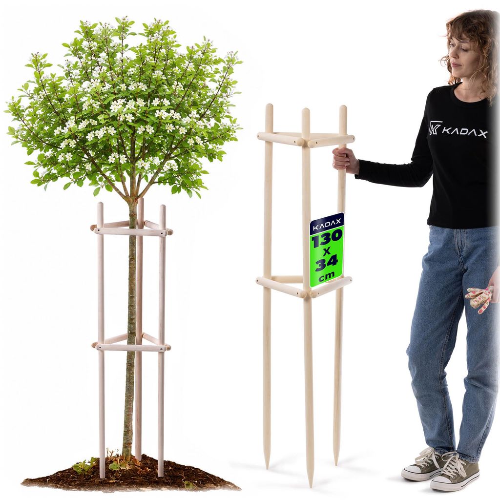 KADAX Baumstütze 130 cm aus robustem Holz, Baumpfahl zur sicheren Fixierung junger Bäume & Sträucher, dreibeinige Pflanzenstütze aus Buchenholz...