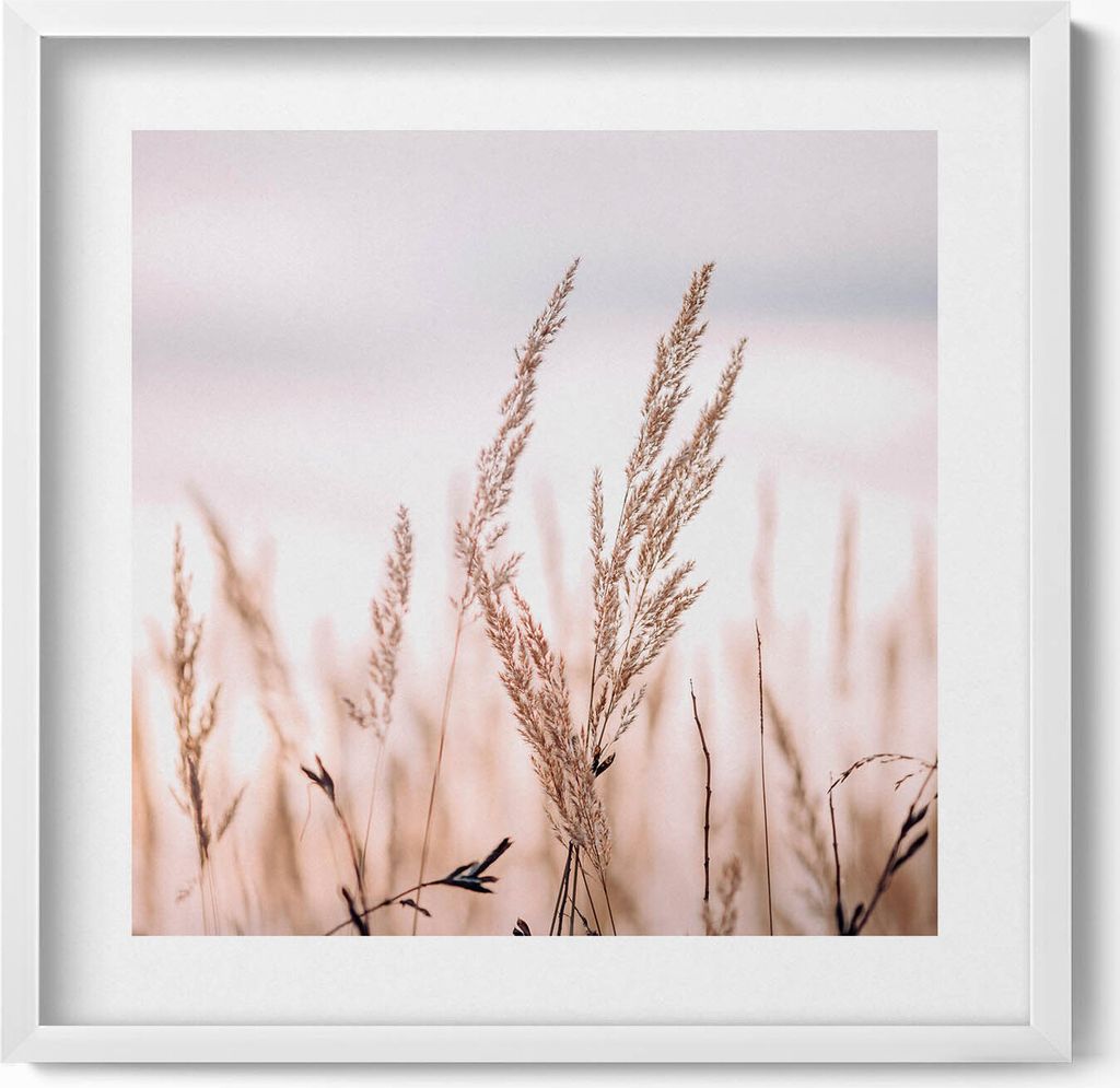 Boho-Romantik-Landschaft aus feinen Gräsern– Wandbild mit Rahmen – Gerahmtes Bild – Wanddekoration – 50x50 cm – Weiß Rahmen