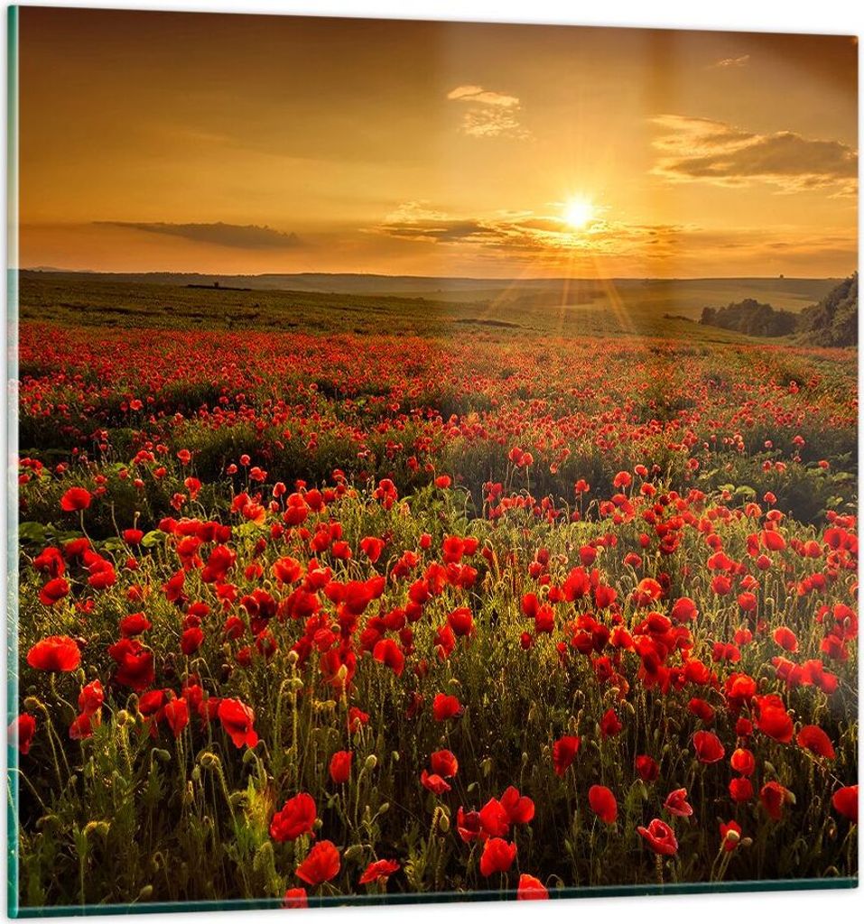 Bilder auf glas - Mohn Blume Wiese - 40x40cm - Glasbilder - Wandbilder - Kunstdruck - zum Aufhängen bereit - Wanddekoration aus Glas - Glas Bilder...