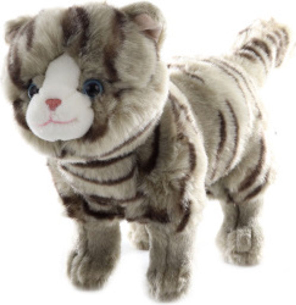 Chat en peluche 27cm - ECO-FRIENDLY Image du produit 