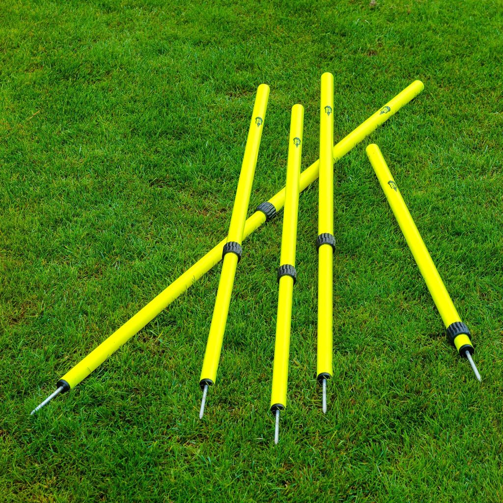 Power Shot Slalomstangen-Set "Teleskop"