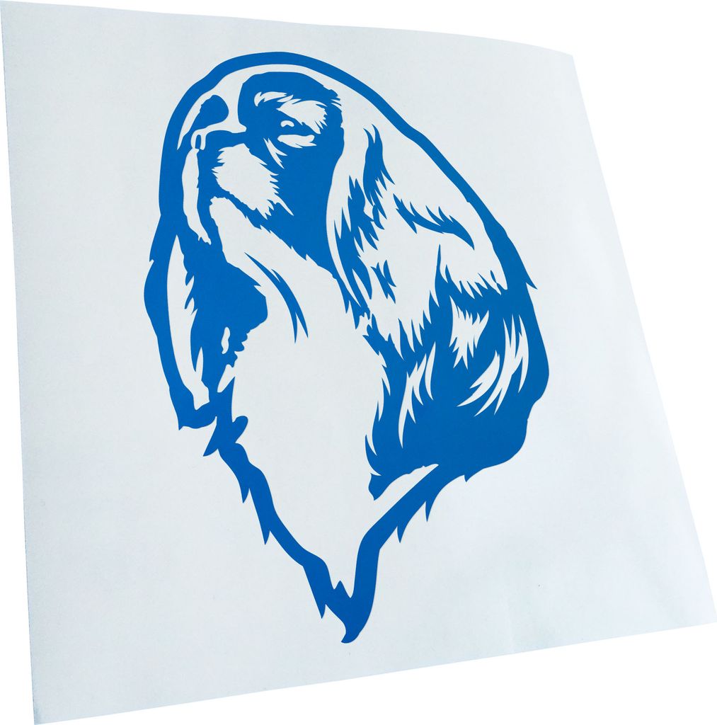 Kiwistar - Autoaufkleber - Cavalier King Charles Spaniel - Blau - 50x36cm - Aufkleber für Auto, Laptop, Fahrrad, LKW, Motorrad mehrfarbig JDM Deca...