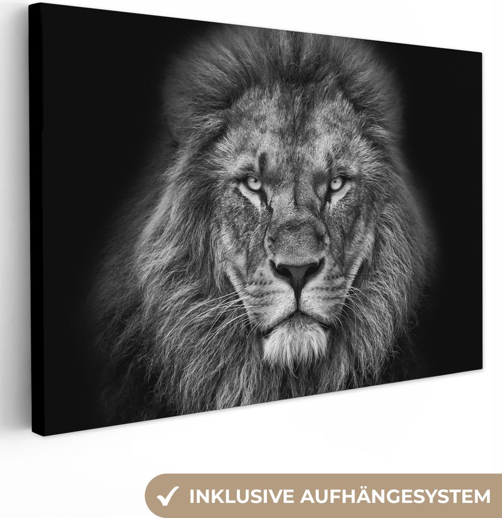 MuchoWow - Leinwandbilder - Tiere - Löwe - Schwarz - Weiß - Porträt, Wandbild, Wanddeko Bilder Wohnzimmer, 60x40 cm