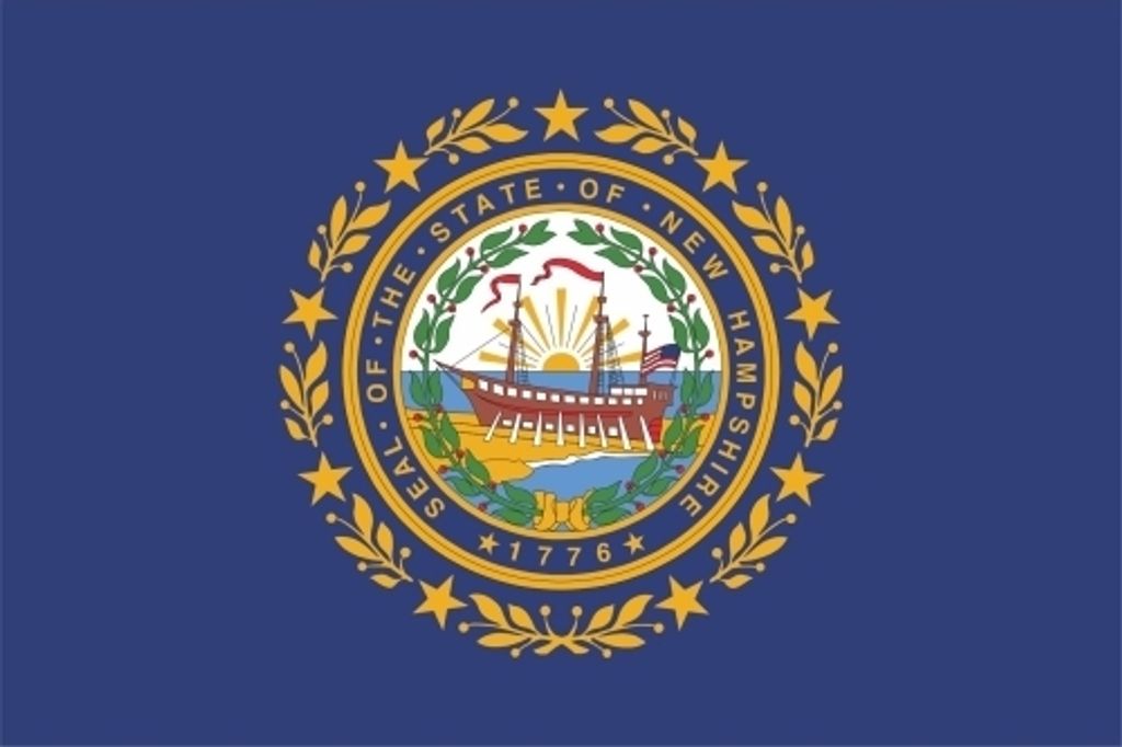 Kiwistar - Aufkleber - New Hampshire Concord - Bundesstaat USA Autoaufkleber Sticker State Flagge - 120 x 80 cm