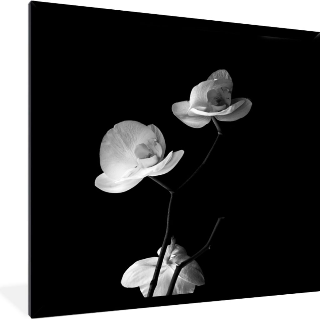 MuchoWow Gerahmtes Poster Orchidee - Blumen - Schwarz - Weiß - Stilleben 40x40 cm - Poster mit Schwarzem Bilderrahmen Wandposter Rahmen Foto Bil...