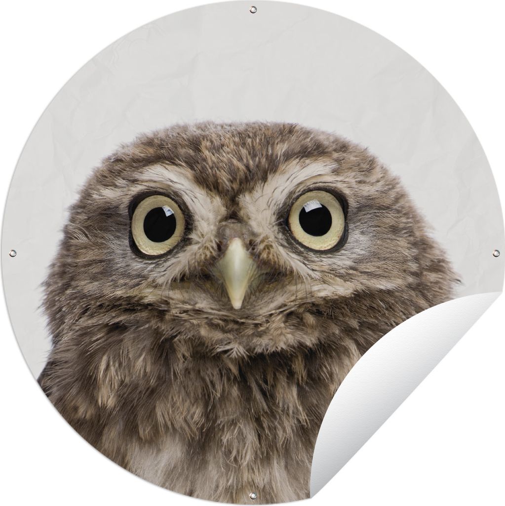 MuchoWow Gartenposter Outdoor-Poster Rund Tiere - Eule - Weiß Ø 120 cm Gartendeko Rundes Poster draußen