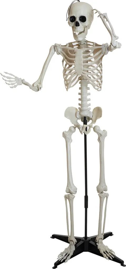 Squelette d'Halloween de 150 cm réaliste - Structure en ABS Robuste