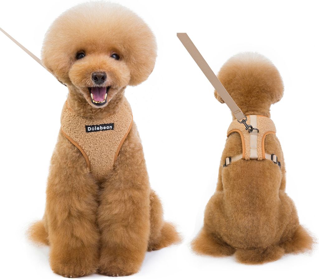 Haustierwestengeschirr Atmungsaktiv Weiches Gepolstert Einstiegsweste Geschirr Leash Set Fš¹r Haustier Hund Katze Outdoor Training, Gr??e M Kaffee