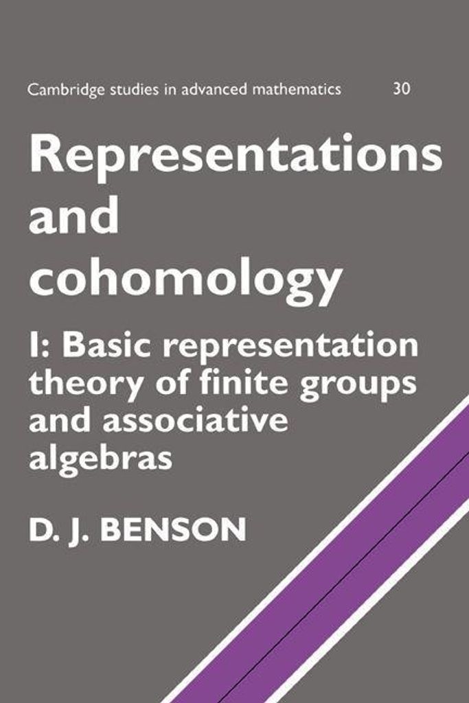 Representations and Cohomology