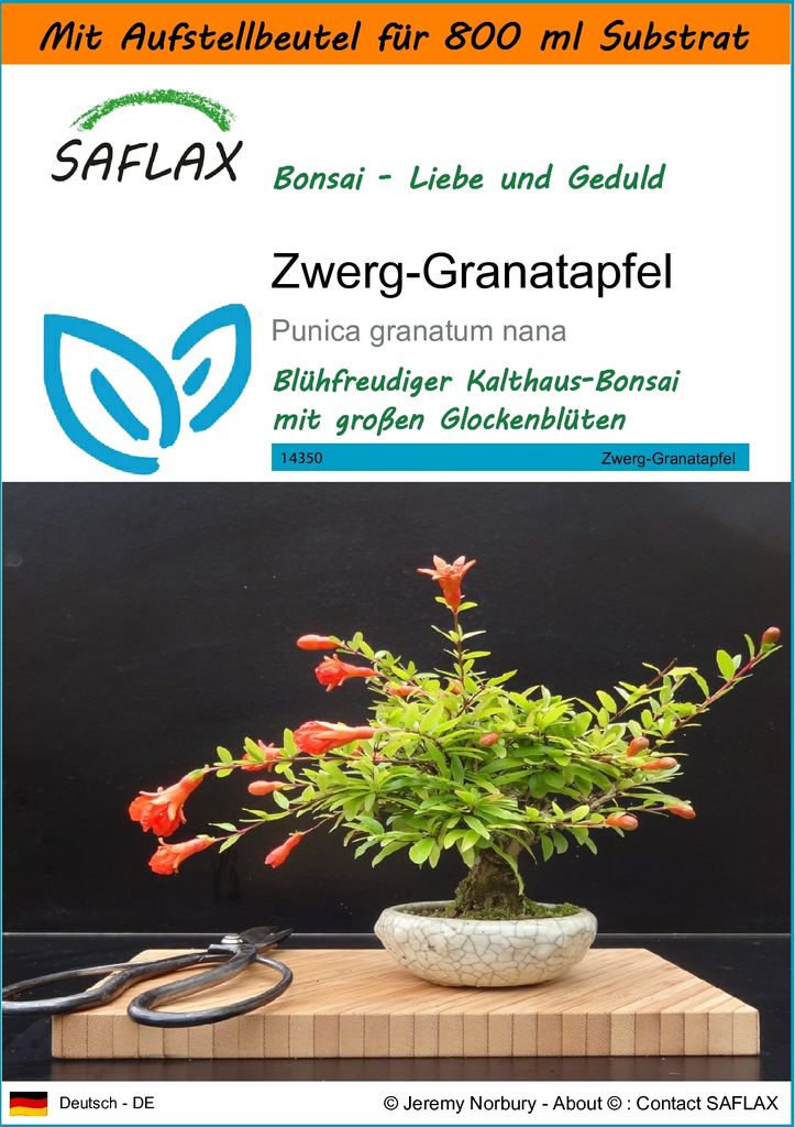SAFLAX - Garden in the Bag - Bonsai - Zwerg-Granatapfel - 50 Samen - Mit Anzuchtsubstrat im praktischen, selbst aufstellenden Beutel - Punica grana...