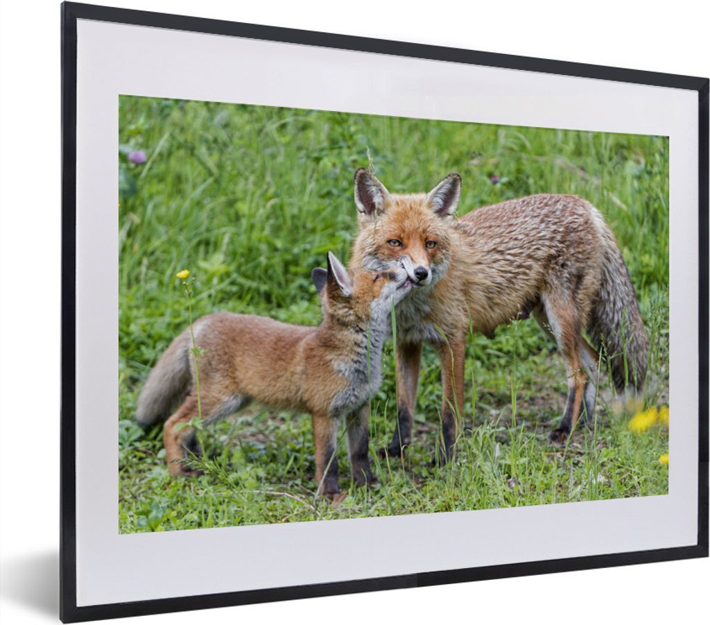 MuchoWow® MuchoWow® Gerahmtes Poster Füchse - Kind - Gras Produktbild 