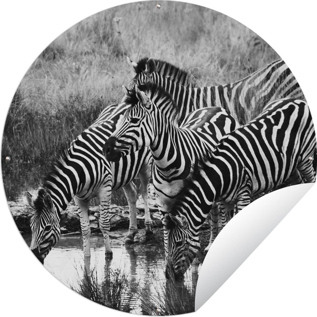 MuchoWow Gartenposter Outdoor-Poster Rund Trinkende Zebras Ø 120 cm Gartendeko Rundes Poster draußen