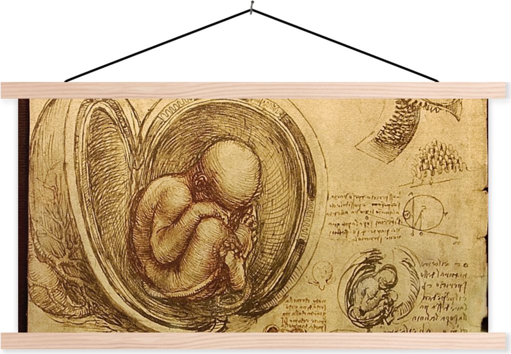MuchoWow Textilposter Baby im Mutterleib - Leonardo da Vinci 120x60 cm mit holzfarbenen Rahmen - Klemmleiste