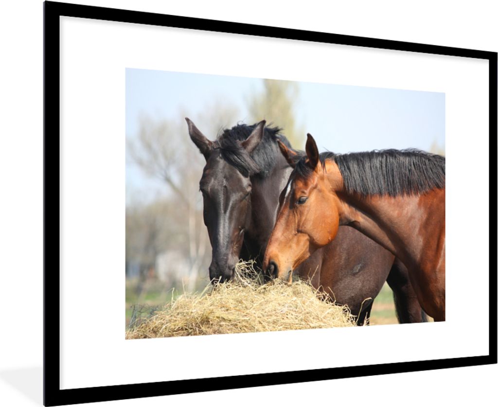 MuchoWow® MuchoWow® Gerahmtes Poster Pferde - Heu - Tiere Produktbild 