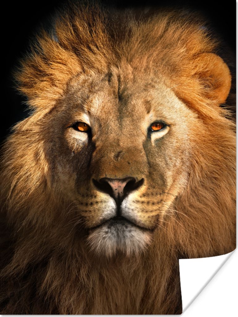 MuchoWow Poster Löwe - Tiere - Schwarz - Hell - Braun - Porträt 60x80 cm - Schlafzimmer Dekoration