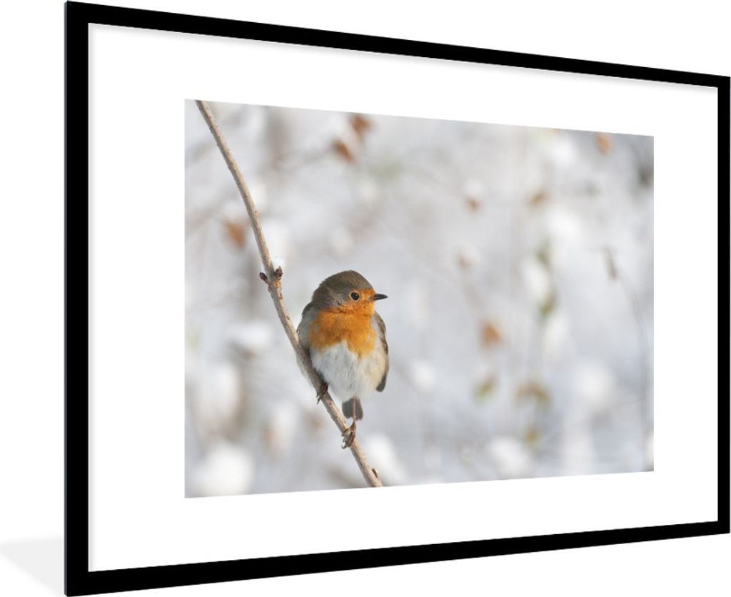 MuchoWow Gerahmtes Poster Vogel - Rotkehlchen - Winter 90x60 cm - Poster mit Schwarzem Bilderrahmen Wandposter Rahmen Foto Bilder - Wanddekoratio...