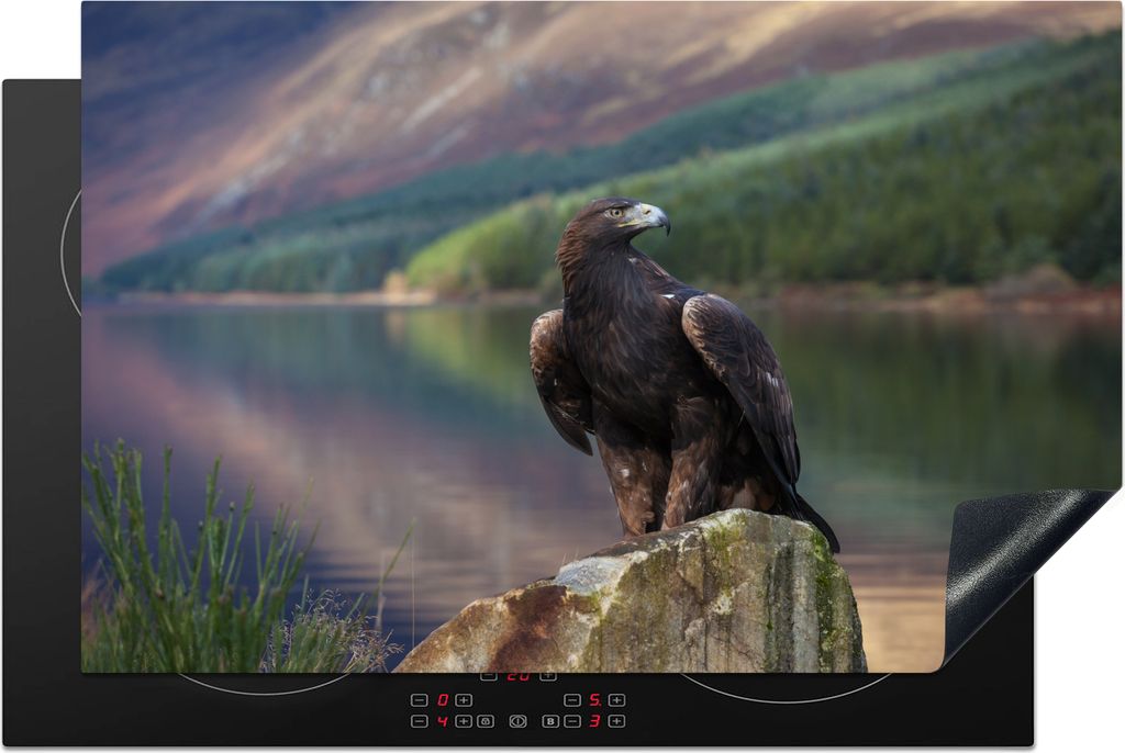 KitchenYeah Herdabdeckplatte Vogel - Steinadler - Schottland , 81x52cm, Küche Deko, Glaskeramikfeld Herdabdeckung, Abdeckplatte fùr Kochfeld