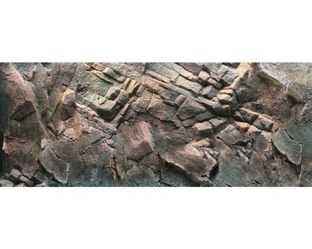 Tylny plakat ścienny JUWEL rośliny/skały 150x60 cm Zdjęcie produktu 3