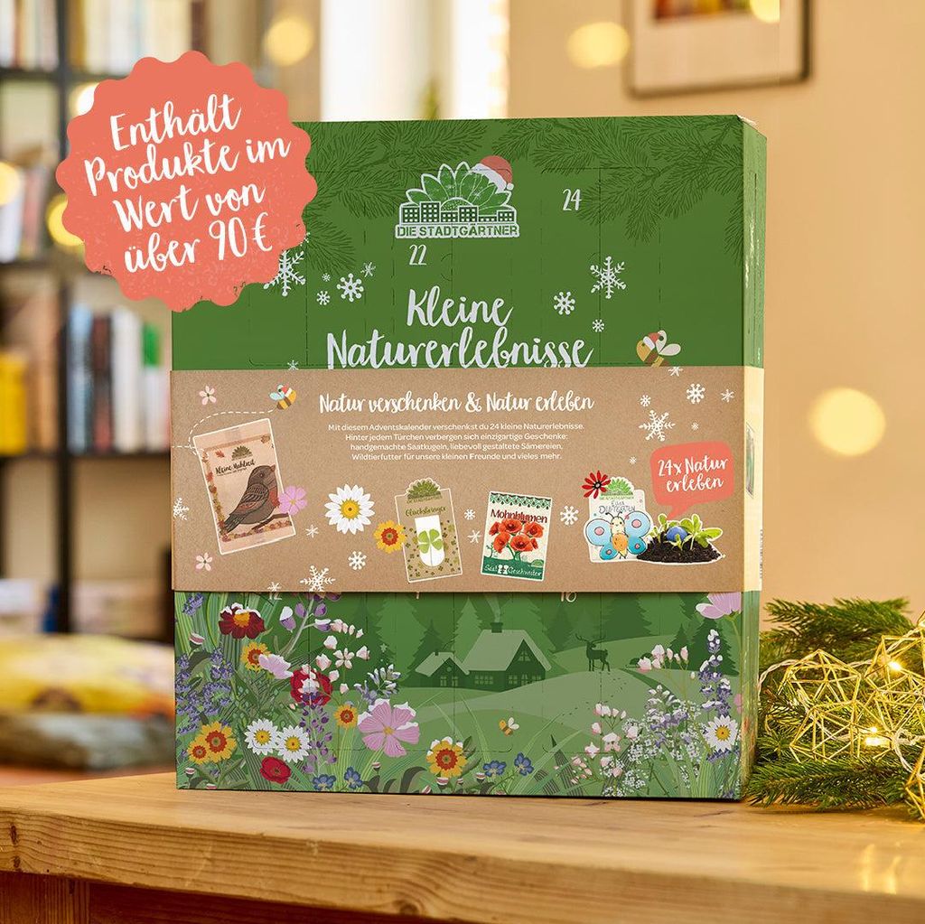 Adventskalender – 24 Überraschungen mit Samen, Blumenmurmeln, Glücksbringern