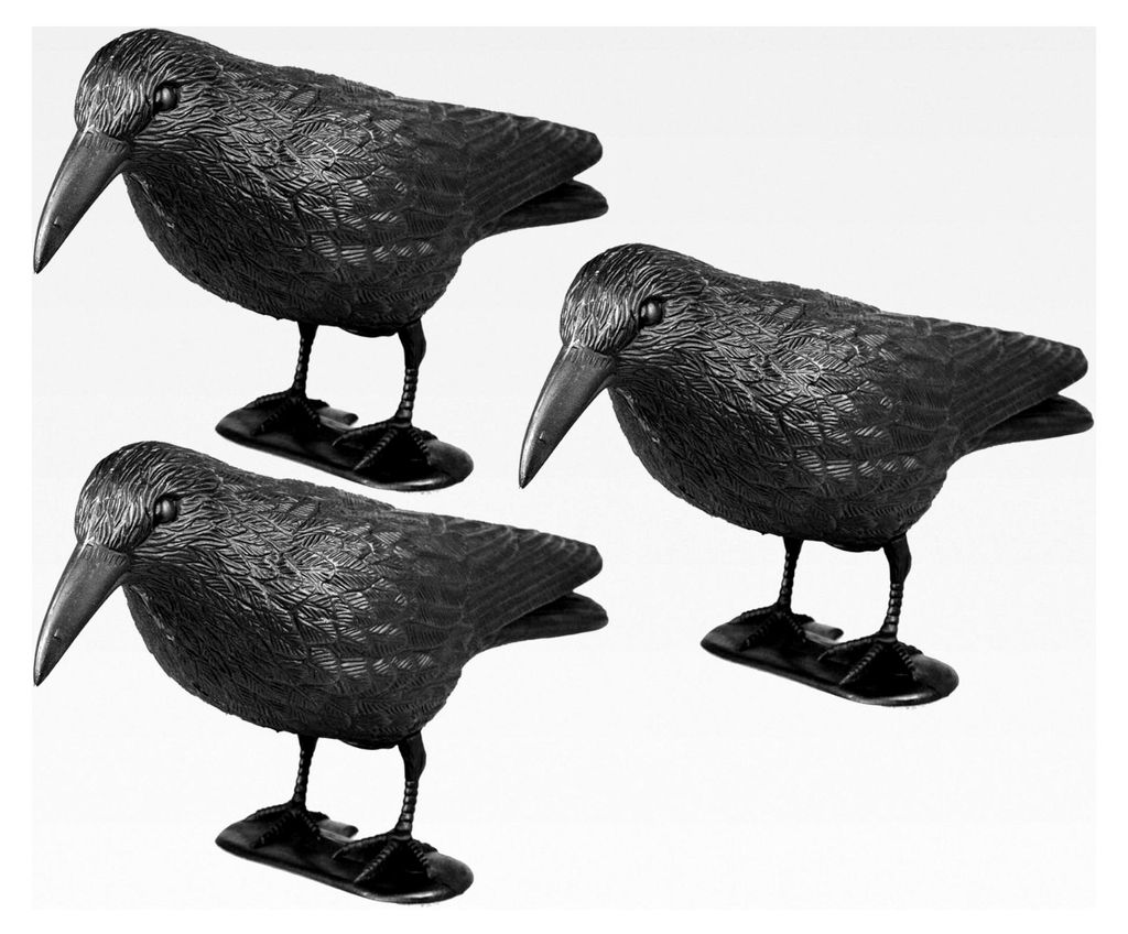 Rabenattrappe zur Vogelabwehr - Schwarze Kunststofffigur gegen Tauben, Möwen und Kleinvögel für Garten, Balkon, Terrasse - 3 Stück