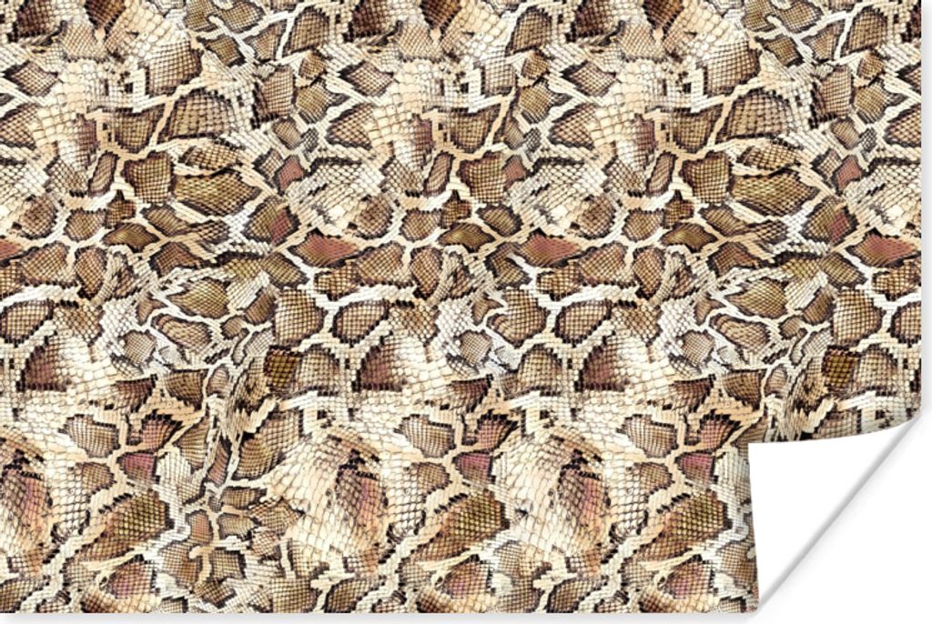 MuchoWow Poster Schlange - Tiere - Design 90x60 cm - Schlafzimmer