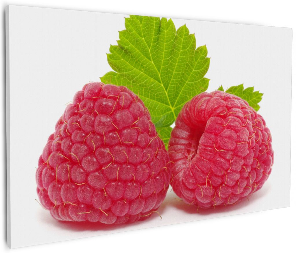 Wallario Premium Leinwandbild Himbeeren mit grünem Blatt auf weißem Grund in Größe 60 x 90 cm