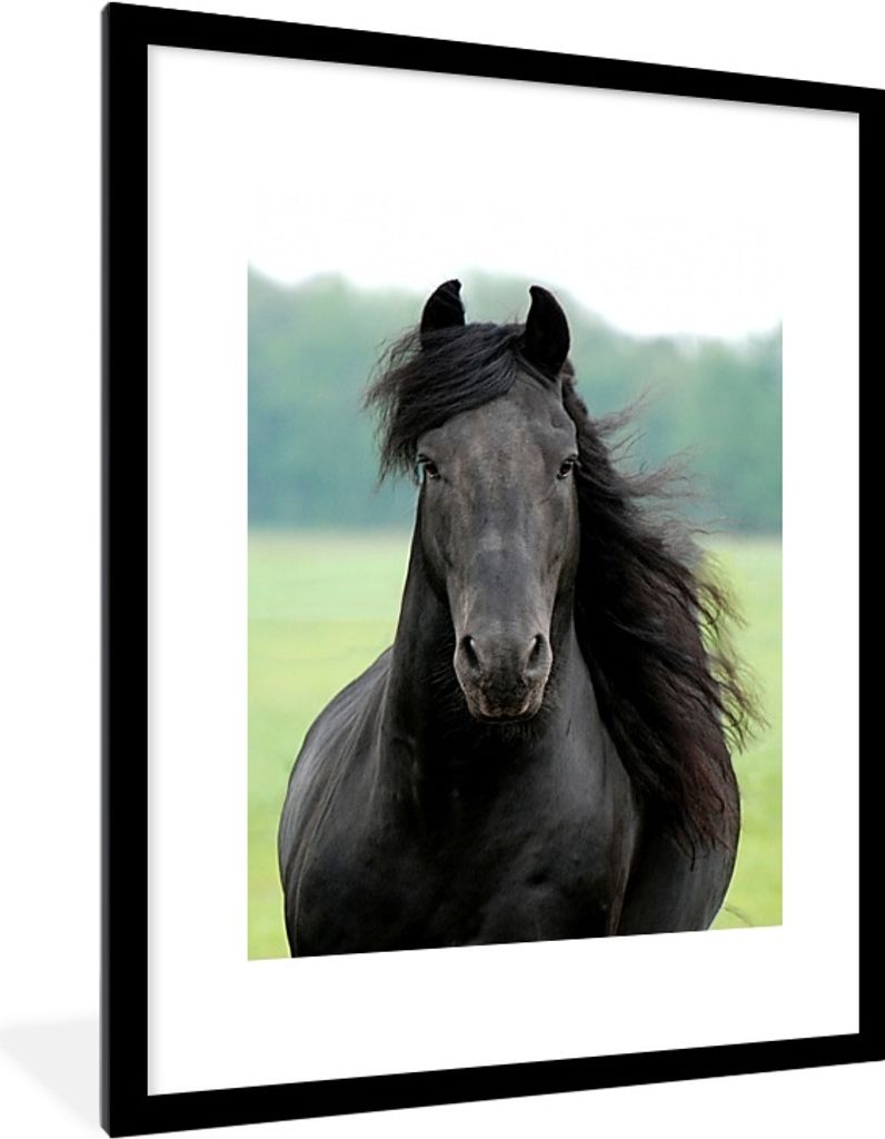 MuchoWow Gerahmtes Poster Friesisch - Pferd - Gras 60x80 cm - Poster mit Schwarzem Bilderrahmen Wandposter Rahmen Foto Bilder - Wohnzimmer - Deko...