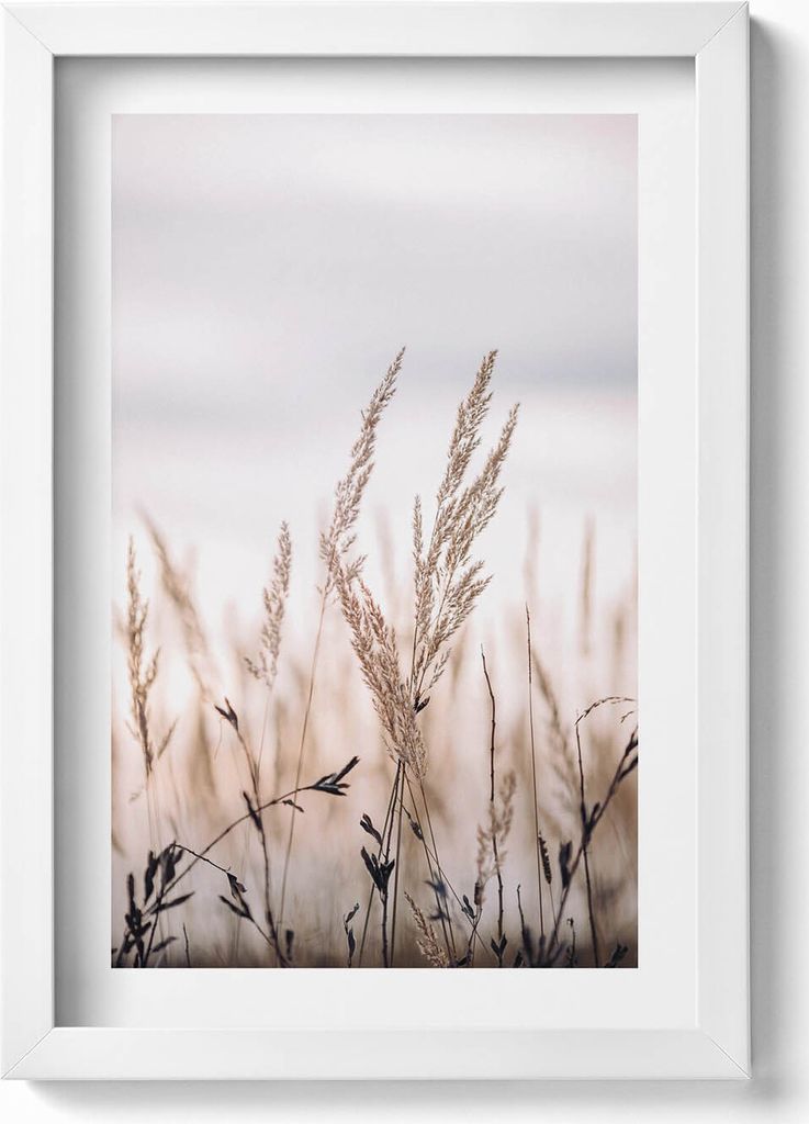 Naturgras im Boho-Stil– Wandbild mit Rahmen – Gerahmtes Bild – Wanddekoration – 20x30 cm – Weiß