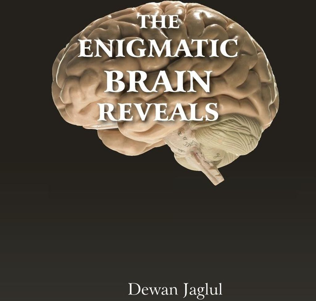 The Enigmatic Brain Reveals
