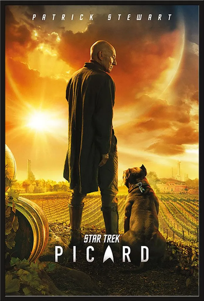 Poster Encadré Star Trek Picard Number One avec Cadre Plastique Noir Shinsuke