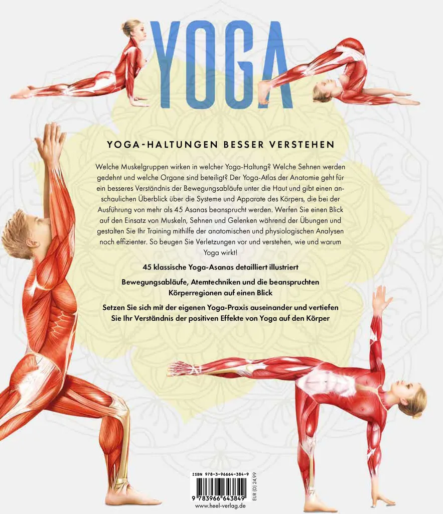 YOGA - Atlas der Anatomie : Comprendre le Corps et les Postures