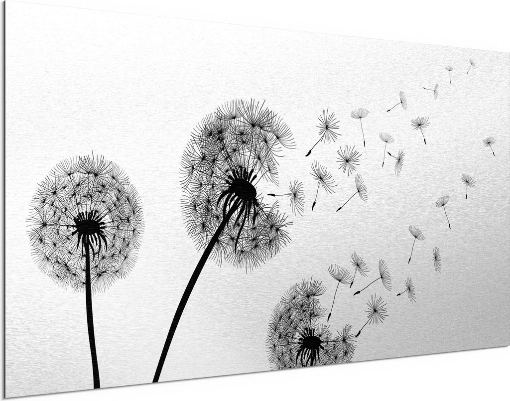 DEQORI Alu-Dibond Bild Silber 100x50 cm 'Schwarze Pusteblumen' Wandbild Metall dünn