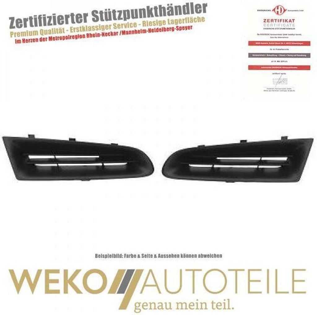 Kühlergitter links rechts DIEDERICHS 4414042 für RENAULT